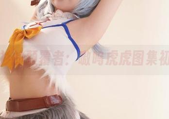 白衬衫的颠覆者：嗷呜虎虎图集初体验